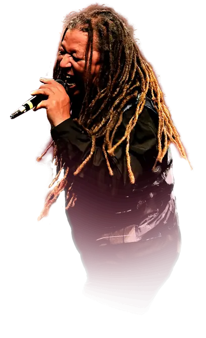 Stevie Wonder band singers